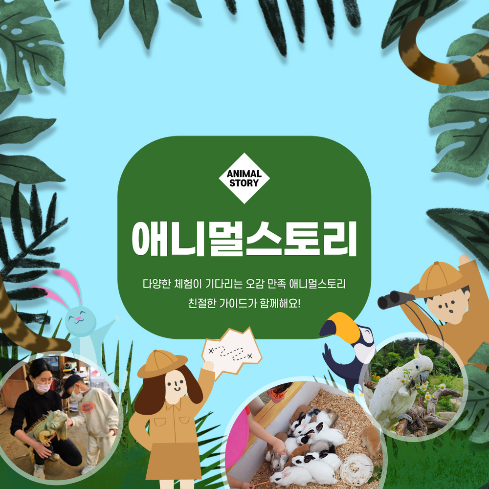 |강원|강릉 애니멀스토리