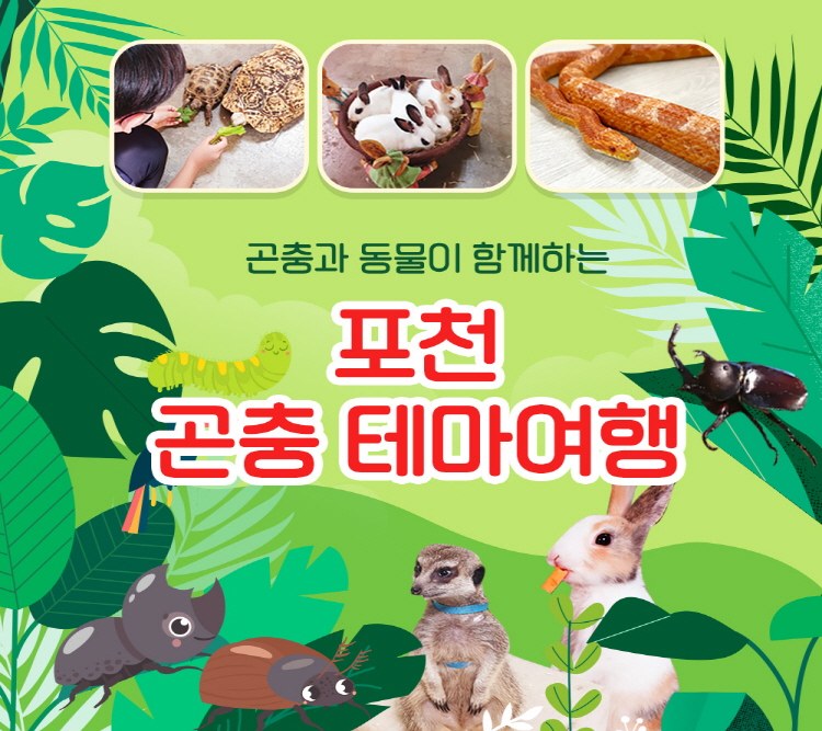 |경기|포천곤충테마여행