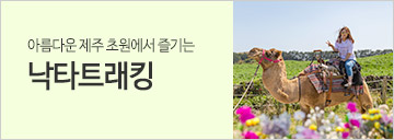 낙타트래킹